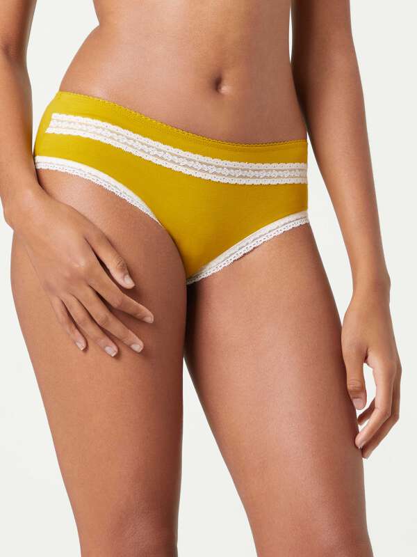 Jaune boxer - Mignonne 1