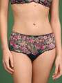 Vert Culotte haute - Buena Vista 1