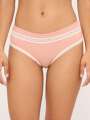 Rose Shorty - Mignonne 1