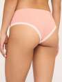 Rose Shorty - Mignonne 2