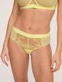 Jaune Shorty - Rita 1