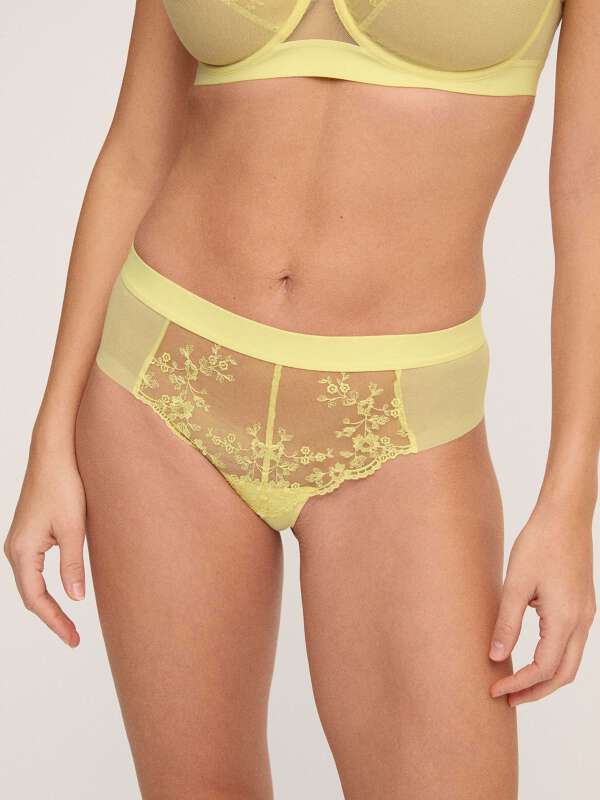 Jaune Shorty - Rita 1