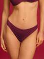 Violet String - Erin  1